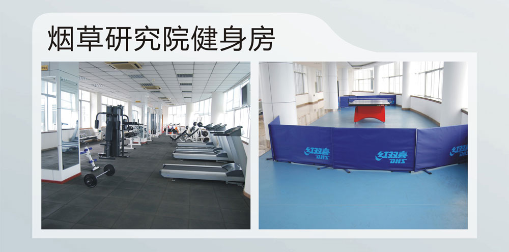 煙草研究院.jpg